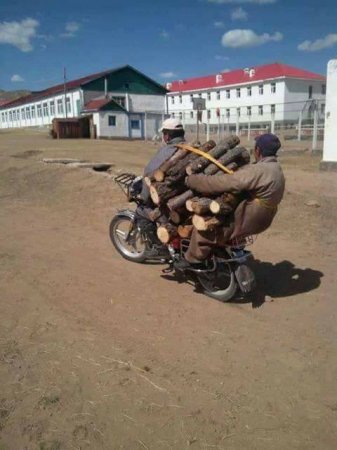 Зөвхөн Монголд харж болох фото зураг