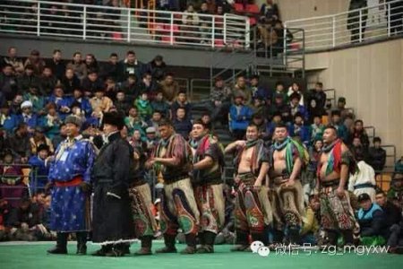П.Бүрэнтөгс тэргүүтэй бөхчүүд Монгол бөхийн Алтан бүсийн тэмцээнд оролцоно