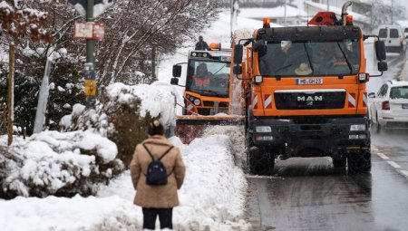Герман, Австрид их хэмжээний цас орсны улмаас 9 хүн амиа алджээ