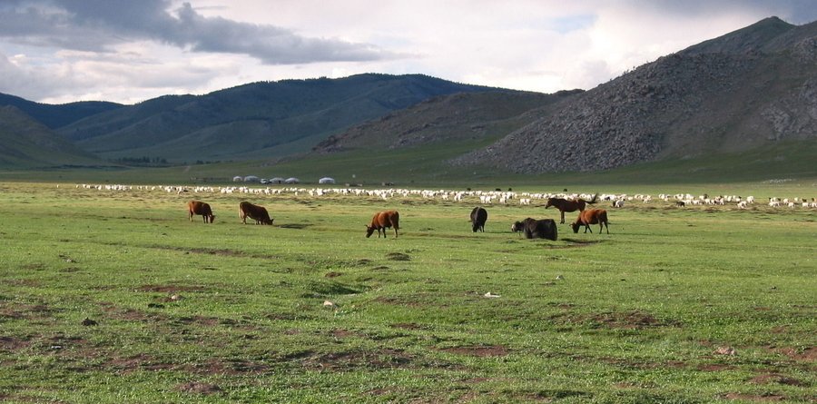 Монгол орны бэлчээрийн хувь заяаг дэлхий дахин анхааралтай ажиж байна