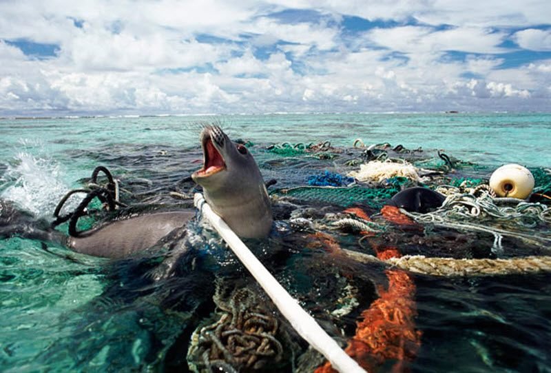Далай тэнгист хуванцар хог хаягдал үүсэх явдлыг 2050 он гэхэд зогсооно